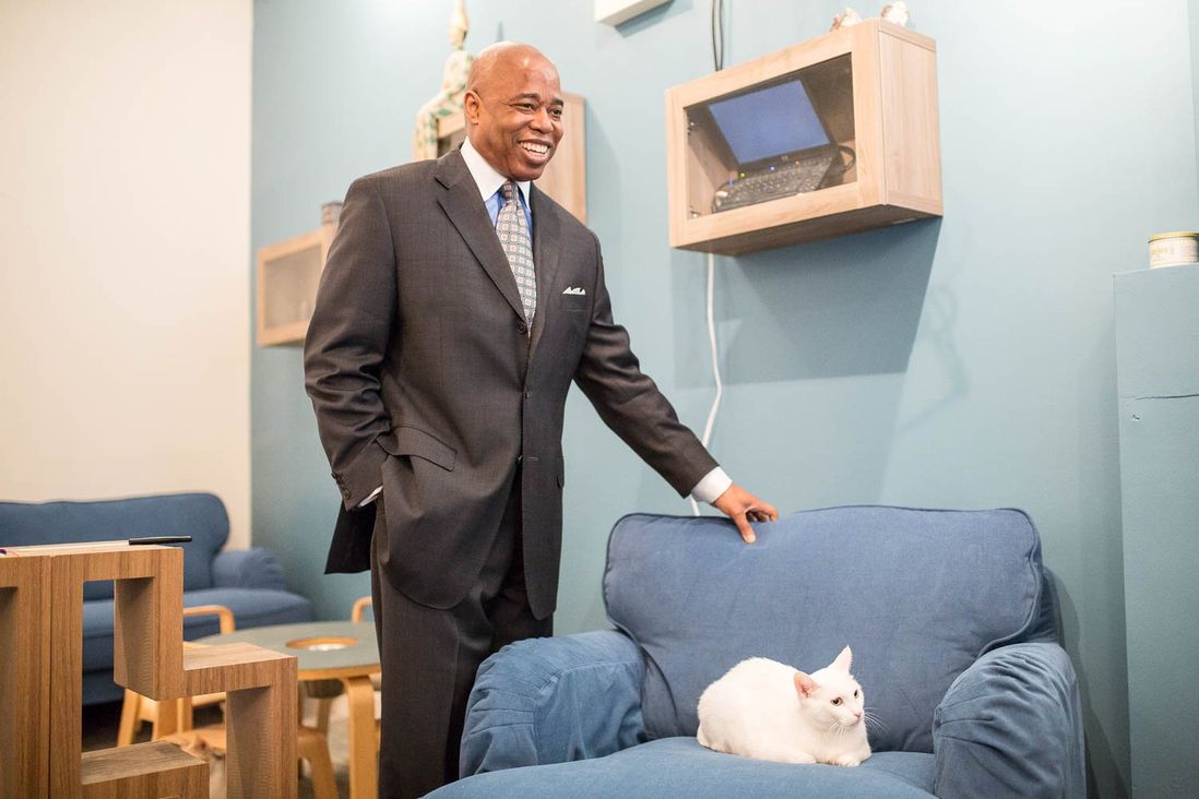 Brooklyn Borough President Eric Adams and a cat<br>